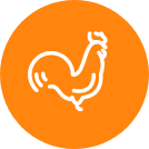 coq